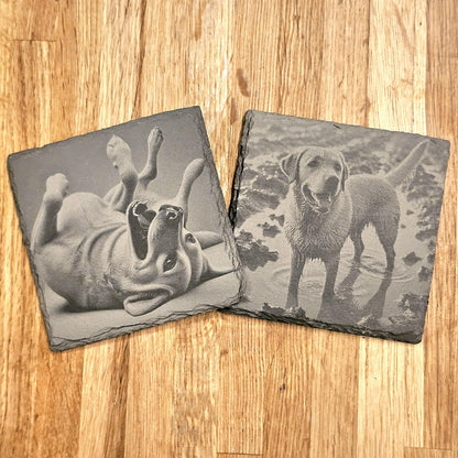Happy Labrador 4 Coaster Set