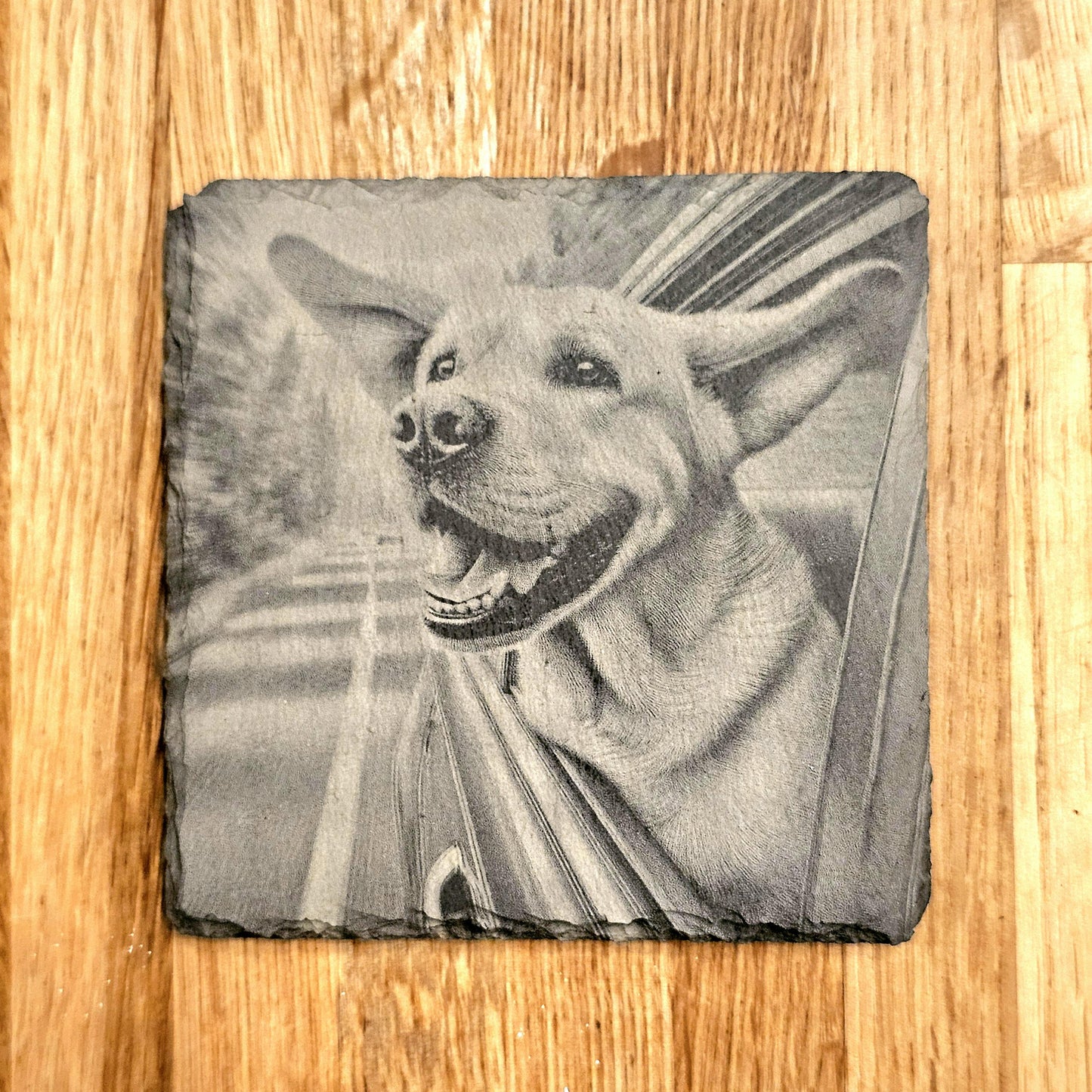 Happy Labrador 4 Coaster Set