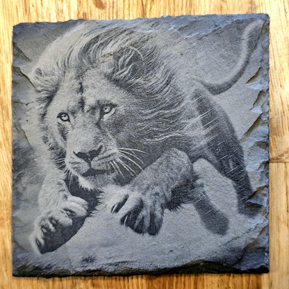 Lion Art 4 Coaster Set