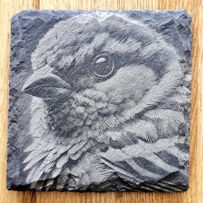Garden Birds Coaster Set